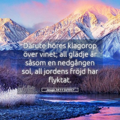 Picture 05 - Jesaja 24:11 SV1917 - Därute höres klagorop över vinet; all glädje - Bible Verse Picture