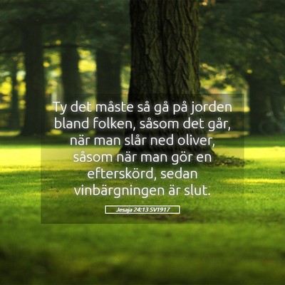 Picture 05 - Jesaja 24:13 SV1917 - Ty det måste så gå på jorden bland folken, - Bible Verse Picture