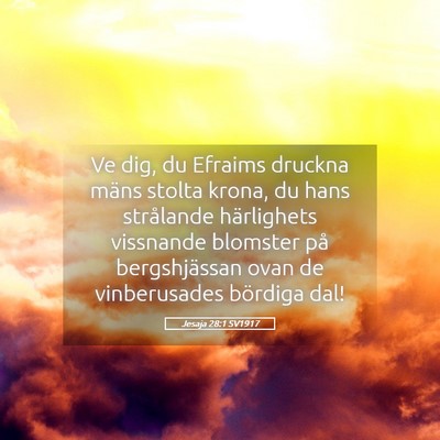 Picture 05 - Jesaja 28:1 SV1917 - Ve dig, du Efraims druckna mäns stolta krona, du - Bible Verse Picture
