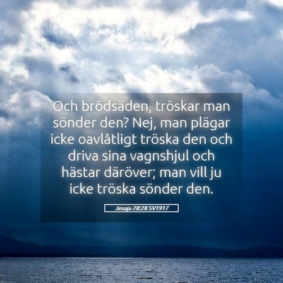 Picture 05 - Jesaja 28:28 SV1917 - Och brödsäden, tröskar man sönder den? Nej, - Bible Verse Picture