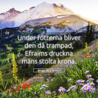 Picture 05 - Jesaja 28:3 SV1917 - Under fötterna bliver den då trampad, Efraims - Bible Verse Picture