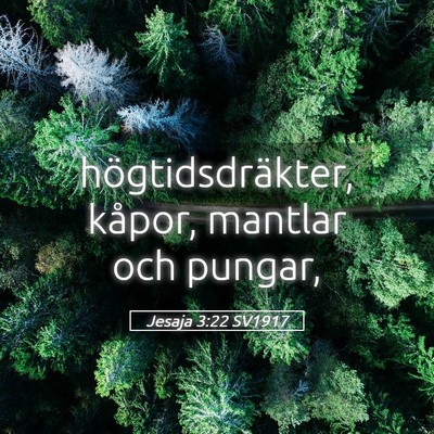 Picture 05 - Jesaja 3:22 SV1917 - högtidsdräkter, kåpor, mantlar och - Bible Verse Picture