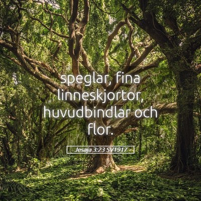 Picture 05 - Jesaja 3:23 SV1917 - speglar, fina linneskjortor, huvudbindlar och - Bible Verse Picture