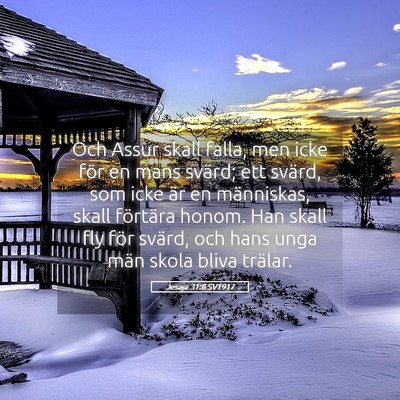Picture 05 - Jesaja 31:8 SV1917 - Och Assur skall falla, men icke för en mans - Bible Verse Picture