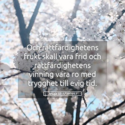 Picture 05 - Jesaja 32:17 SV1917 - Och rättfärdighetens frukt skall vara frid och - Bible Verse Picture
