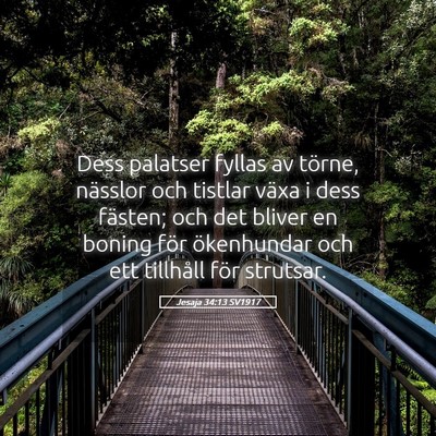 Picture 05 - Jesaja 34:13 SV1917 - Dess palatser fyllas av törne, nässlor och - Bible Verse Picture