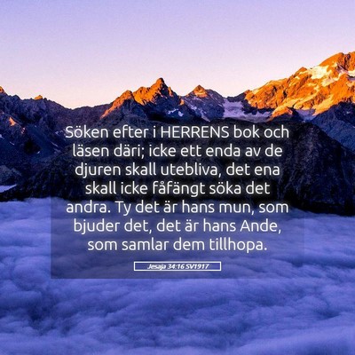 Picture 05 - Jesaja 34:16 SV1917 - Söken efter i HERRENS bok och läsen däri; icke - Bible Verse Picture