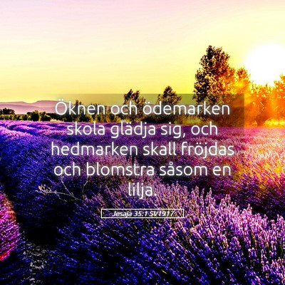 Picture 05 - Jesaja 35:1 SV1917 - Öknen och ödemarken skola glädja sig, och - Bible Verse Picture