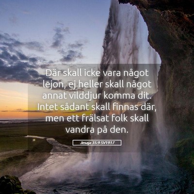 Picture 05 - Jesaja 35:9 SV1917 - Där skall icke vara något lejon, ej heller - Bible Verse Picture