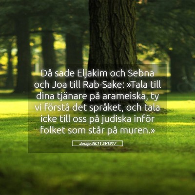 Picture 05 - Jesaja 36:11 SV1917 - Då sade Eljakim och Sebna och Joa till Rab-Sake: - Bible Verse Picture