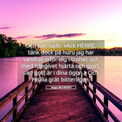 Picture 05 - Jesaja 38:3 SV1917 - Och han sade: »Ack HERRE, tänk dock på huru - Bible Verse Picture