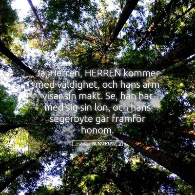 Picture 05 - Jesaja 40:10 SV1917 - Ja, Herren, HERREN kommer med väldighet, och - Bible Verse Picture