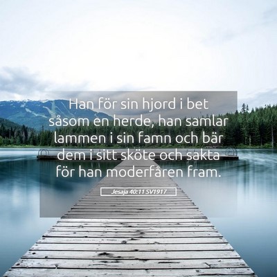 Picture 05 - Jesaja 40:11 SV1917 - Han för sin hjord i bet såsom en herde, han - Bible Verse Picture