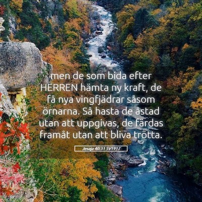Picture 05 - Jesaja 40:31 SV1917 - men de som bida efter HERREN hämta ny kraft, de - Bible Verse Picture