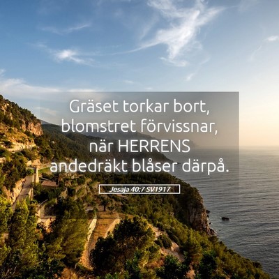 Picture 05 - Jesaja 40:7 SV1917 - Gräset torkar bort, blomstret förvissnar, när - Bible Verse Picture