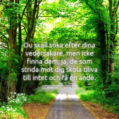 Picture 05 - Jesaja 41:12 SV1917 - Du skall söka efter dina vedersakare, men icke - Bible Verse Picture