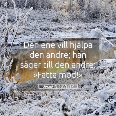 Picture 05 - Jesaja 41:6 SV1917 - Den ene vill hjälpa den andre; han säger till - Bible Verse Picture