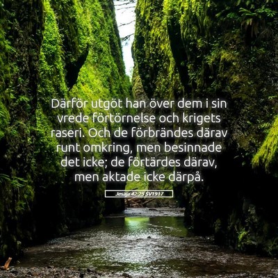 Picture 05 - Jesaja 42:25 SV1917 - Därför utgöt han över dem i sin vrede - Bible Verse Picture