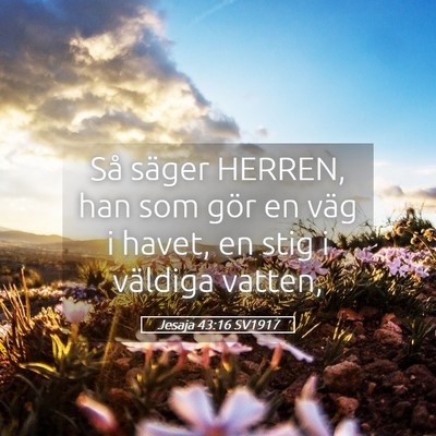Picture 05 - Jesaja 43:16 SV1917 - Så säger HERREN, han som gör en väg i havet, - Bible Verse Picture
