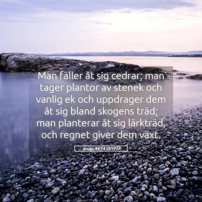 Picture 05 - Jesaja 44:14 SV1917 - Man fäller åt sig cedrar; man tager plantor av - Bible Verse Picture