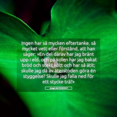 Picture 05 - Jesaja 44:19 SV1917 - Ingen har så mycken eftertanke, så mycket vett - Bible Verse Picture