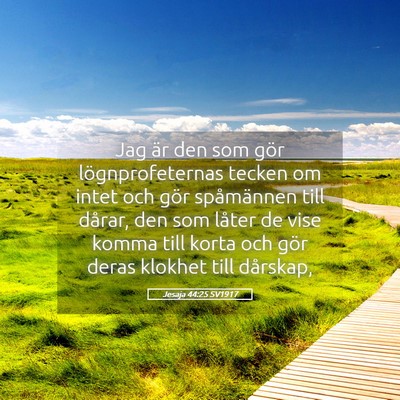 Picture 05 - Jesaja 44:25 SV1917 - Jag är den som gör lögnprofeternas tecken om - Bible Verse Picture