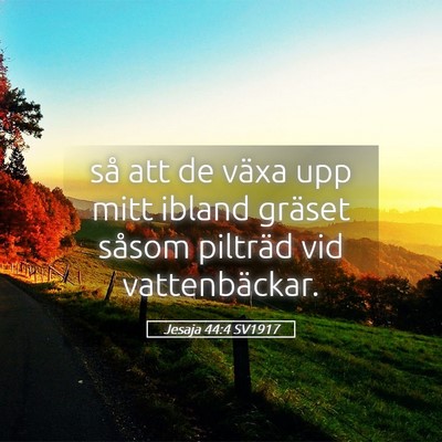 Picture 05 - Jesaja 44:4 SV1917 - så att de växa upp mitt ibland gräset såsom - Bible Verse Picture