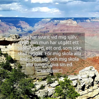 Picture 05 - Jesaja 45:23 SV1917 - Jag har svurit vid mig själv, från min mun har - Bible Verse Picture