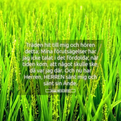 Picture 05 - Jesaja 48:16 SV1917 - Träden hit till mig och hören detta; Mina - Bible Verse Picture