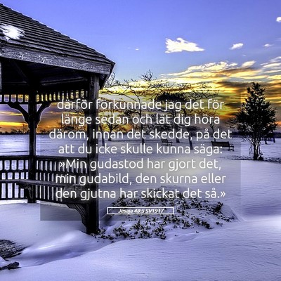 Picture 05 - Jesaja 48:5 SV1917 - därför förkunnade jag det för länge sedan - Bible Verse Picture