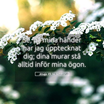 Picture 05 - Jesaja 49:16 SV1917 - Se, på mina händer har jag upptecknat dig; dina - Bible Verse Picture