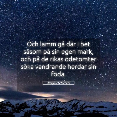 Picture 05 - Jesaja 5:17 SV1917 - Och lamm gå där i bet såsom på sin egen mark, - Bible Verse Picture