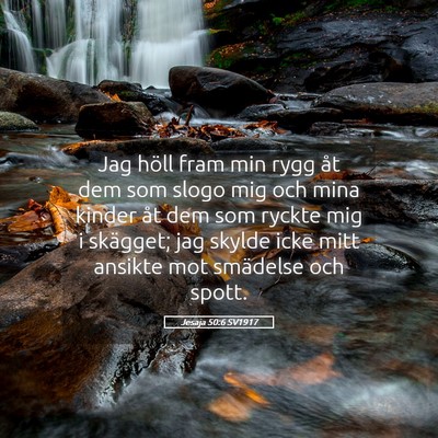 Picture 05 - Jesaja 50:6 SV1917 - Jag höll fram min rygg åt dem som slogo mig och - Bible Verse Picture