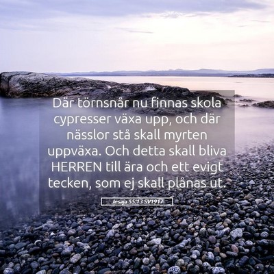 Picture 05 - Jesaja 55:13 SV1917 - Där törnsnår nu finnas skola cypresser växa - Bible Verse Picture