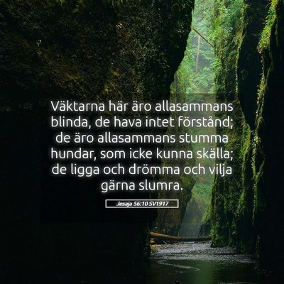 Picture 05 - Jesaja 56:10 SV1917 - Väktarna här äro allasammans blinda, de hava - Bible Verse Picture