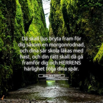Picture 05 - Jesaja 58:8 SV1917 - Då skall ljus bryta fram för dig såsom en - Bible Verse Picture