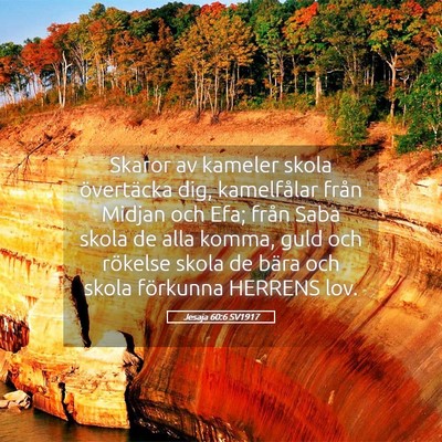 Picture 05 - Jesaja 60:6 SV1917 - Skaror av kameler skola övertäcka dig, - Bible Verse Picture