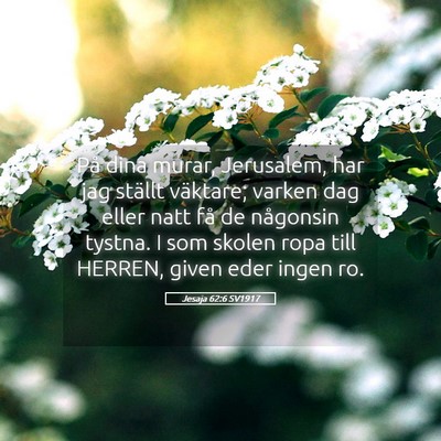 Picture 05 - Jesaja 62:6 SV1917 - På dina murar, Jerusalem, har jag ställt - Bible Verse Picture
