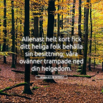 Picture 05 - Jesaja 63:18 SV1917 - Allenast helt kort fick ditt heliga folk behålla - Bible Verse Picture