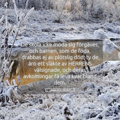 Picture 05 - Jesaja 65:23 SV1917 - De skola icke möda sig förgäves, och barnen, - Bible Verse Picture