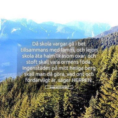 Picture 05 - Jesaja 65:25 SV1917 - Då skola vargar gå i bet tillsammans med lamm, - Bible Verse Picture