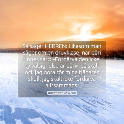 Picture 05 - Jesaja 65:8 SV1917 - Så säger HERREN: Likasom man säger om en - Bible Verse Picture