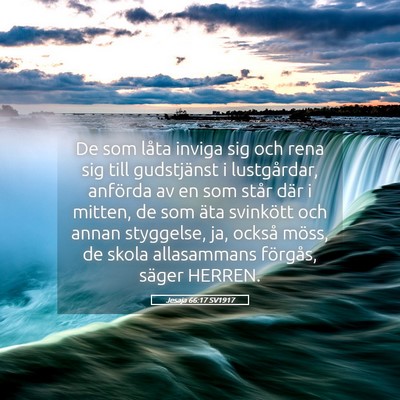 Picture 05 - Jesaja 66:17 SV1917 - De som låta inviga sig och rena sig till - Bible Verse Picture