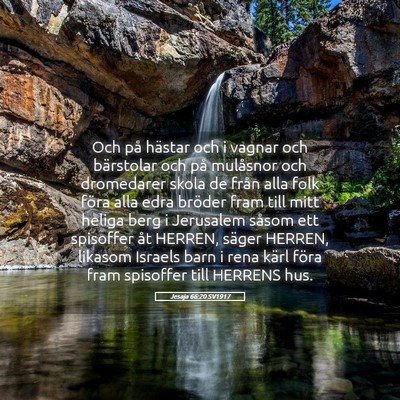 Picture 05 - Jesaja 66:20 SV1917 - Och på hästar och i vagnar och bärstolar och - Bible Verse Picture