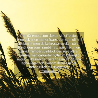Picture 05 - Jesaja 66:3 SV1917 - Den däremot, som slaktar sin offertjur, men ock - Bible Verse Picture