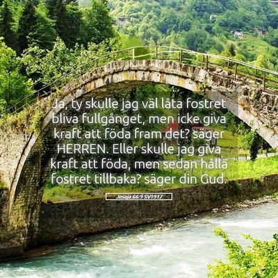 Picture 05 - Jesaja 66:9 SV1917 - Ja, ty skulle jag väl låta fostret bliva - Bible Verse Picture