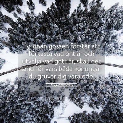 Picture 05 - Jesaja 7:16 SV1917 - Ty innan gossen förstår att förkasta vad ont - Bible Verse Picture