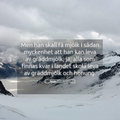 Picture 05 - Jesaja 7:22 SV1917 - Men han skall få mjölk i sådan myckenhet att - Bible Verse Picture