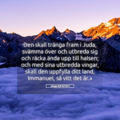 Picture 05 - Jesaja 8:8 SV1917 - Den skall tränga fram i Juda, svämma över och - Bible Verse Picture