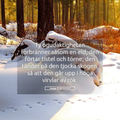 Picture 05 - Jesaja 9:18 SV1917 - Ty ogudaktigheten förbränner såsom en eld, den - Bible Verse Picture